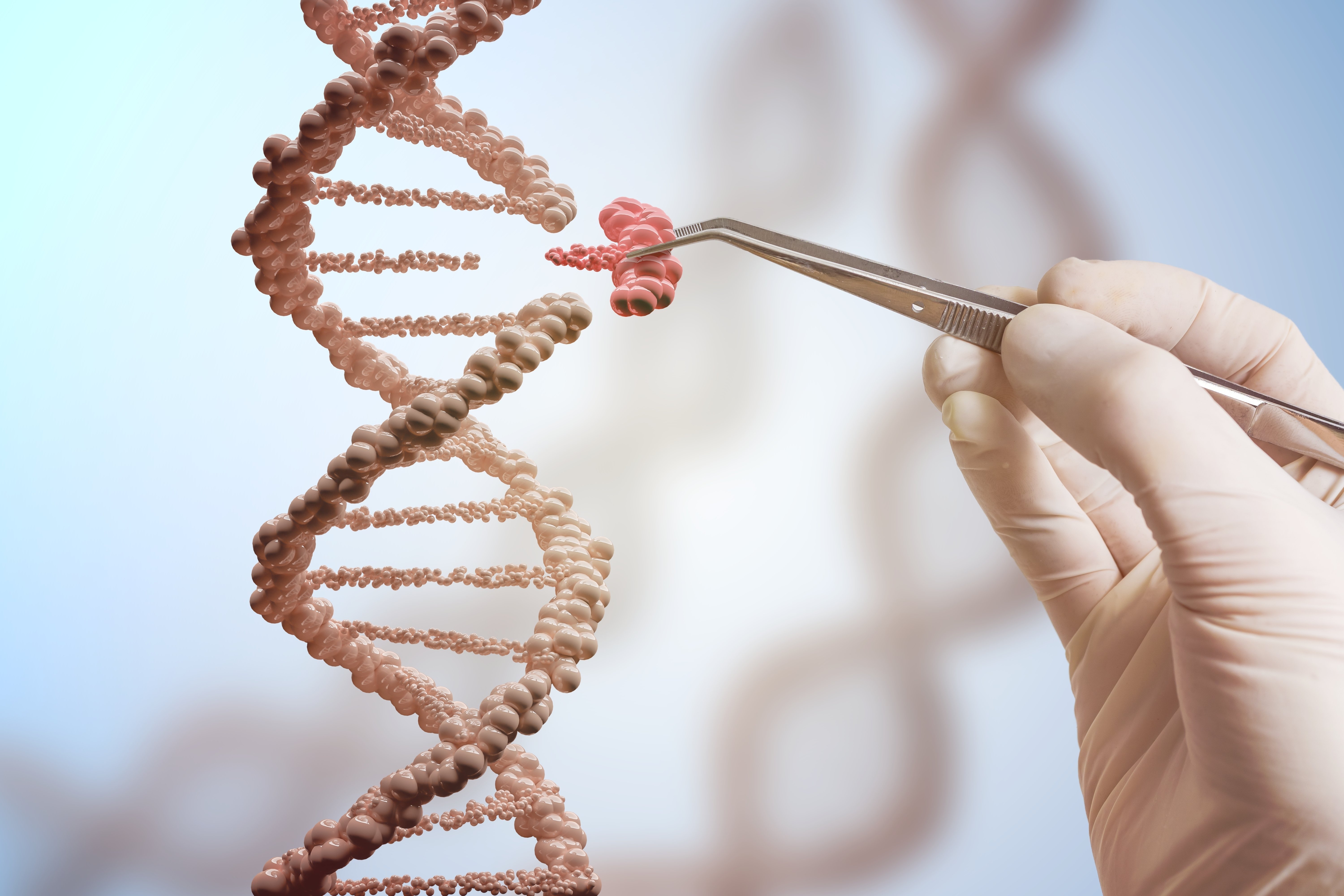 Dna (Gen) Klonlaması Nedir?