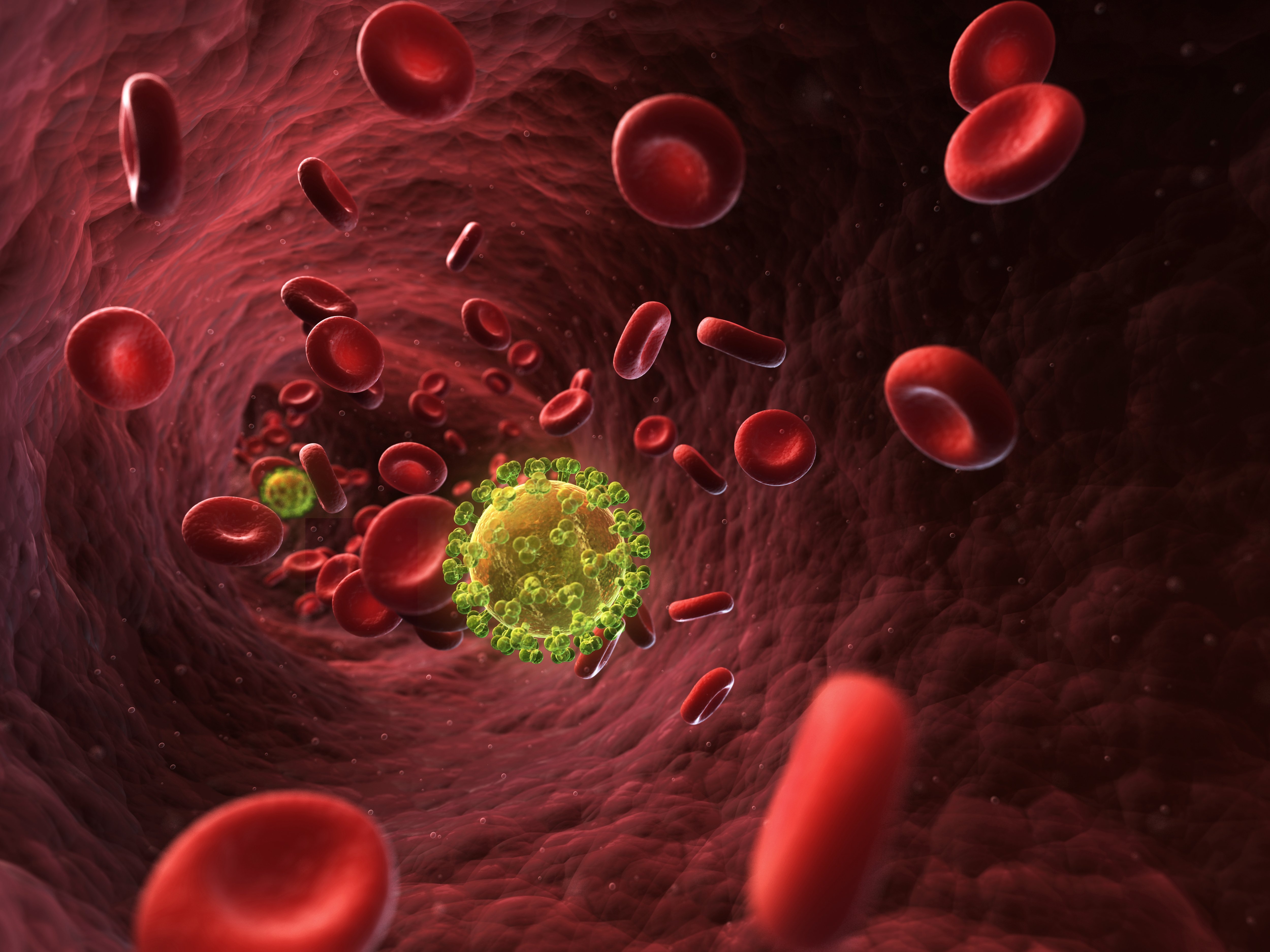 Hiv / Aids'e Genel Bakış