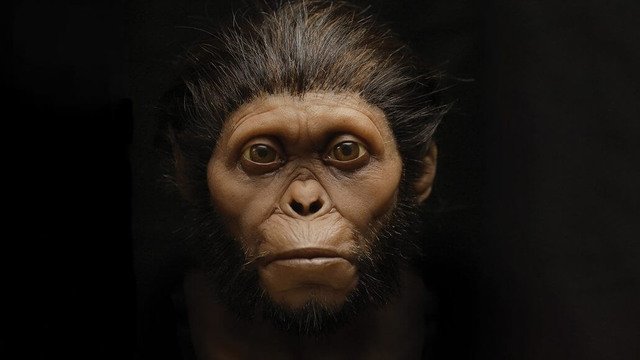 Hominidlerin Yeni Tasvirleri Önyargıların Üstesinden Geliyor